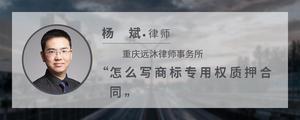 怎么写商标专用权质押合同?