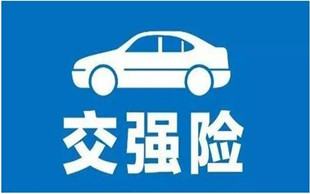 交通事故强险