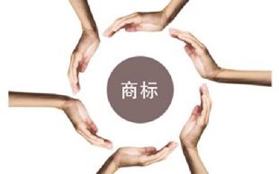 侵犯商标权犯罪
