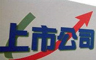 上市公司