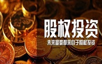 股权投资