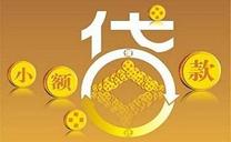 小额贷款利息