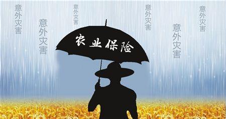 农业保险