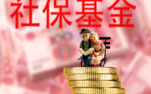 缴纳社保