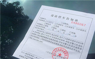 道路交通安全处罚