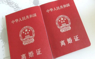 协议离婚