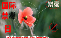 吸毒拘留