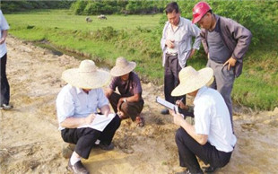 土地确权纠纷