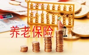 养老保险缴费