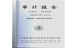 审计报告格式