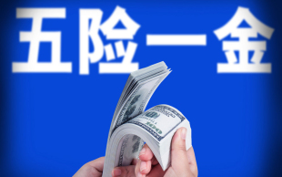 五险一金包括什么
