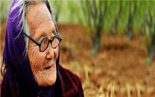 企业养老保险