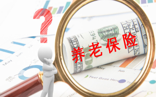 补充养老保险