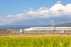 民法典关于生态环境损害修复责任规定