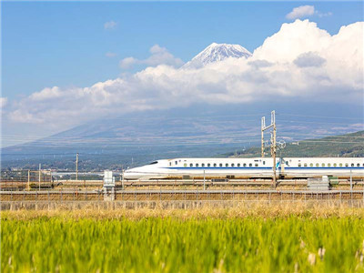 申请宅基地村里不批怎么办