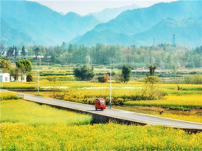 旅游合同交印花税吗