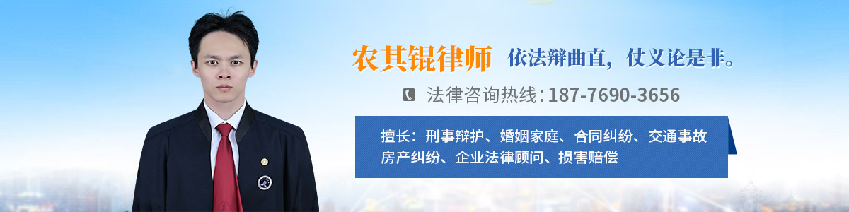 田东县律师-农其锟律师