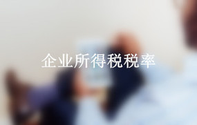 企业所得税税率