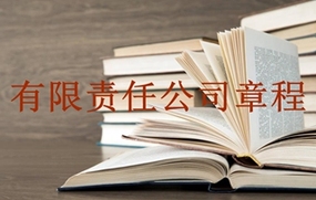 有限责任公司章程
