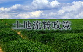 土地流转政策