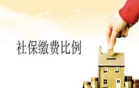 社保缴费基数