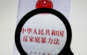 反家暴法