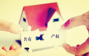 共有产权房可以卖吗