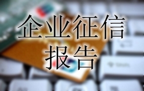 企业征信报告