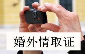 婚外情取证