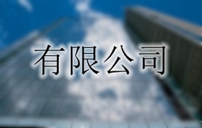 有限公司