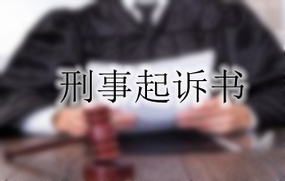 刑事起诉书相关