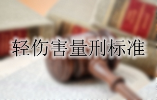 轻伤害量刑标准