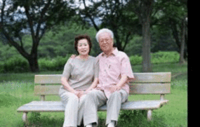 农村养老保险怎么算