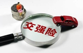 交强险不赔的情形