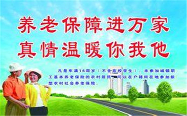 农村养老保险的缴费标准