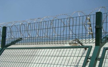 无期徒刑是关到死吗