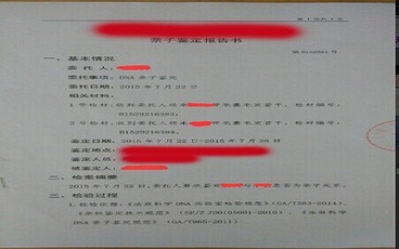最新的亲子鉴定报告范本