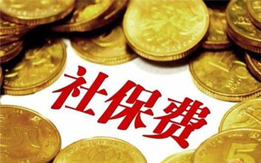 社保缴费金额是怎么计算的
