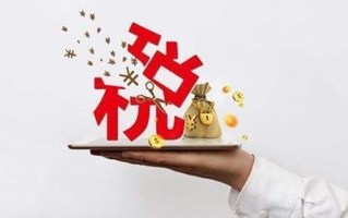 偷税漏税