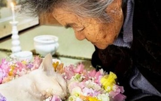 丧假