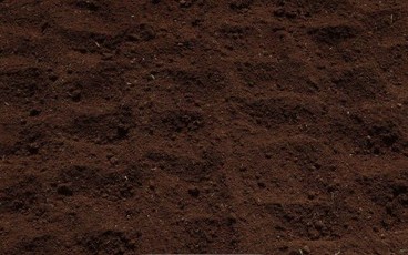 2022最新土地流转补贴政策