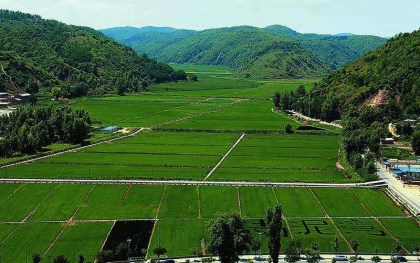是什么影响了农村土地流转价格