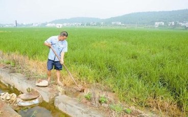补缴土地出让金计算标准是怎样的