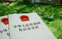 食品质量安全责任制度2021