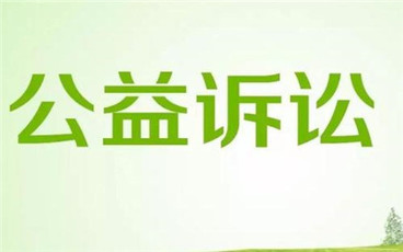 行政诉讼法关于公益诉讼的规定