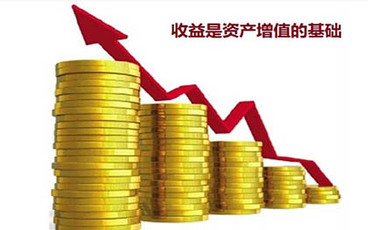 总资产报酬率的功能