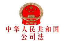 公司法关于有限责任公司的规定