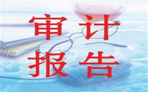 审计意见类型判断标准
