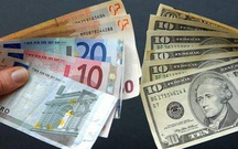 私募基金可以投资外汇吗