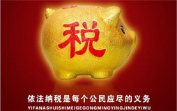 国税报税的注意事项